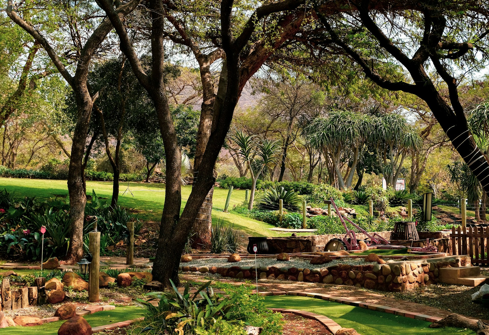 green grass field with trees